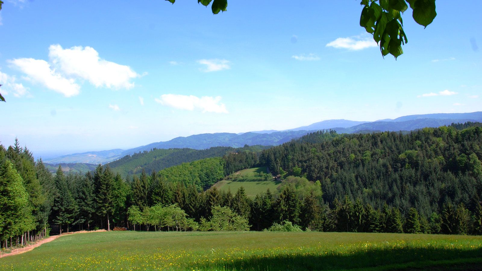 Panorama Ferienwohnungen im Schwarzwald